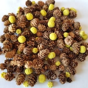 Mini Pinecones and Mini Pumpkins